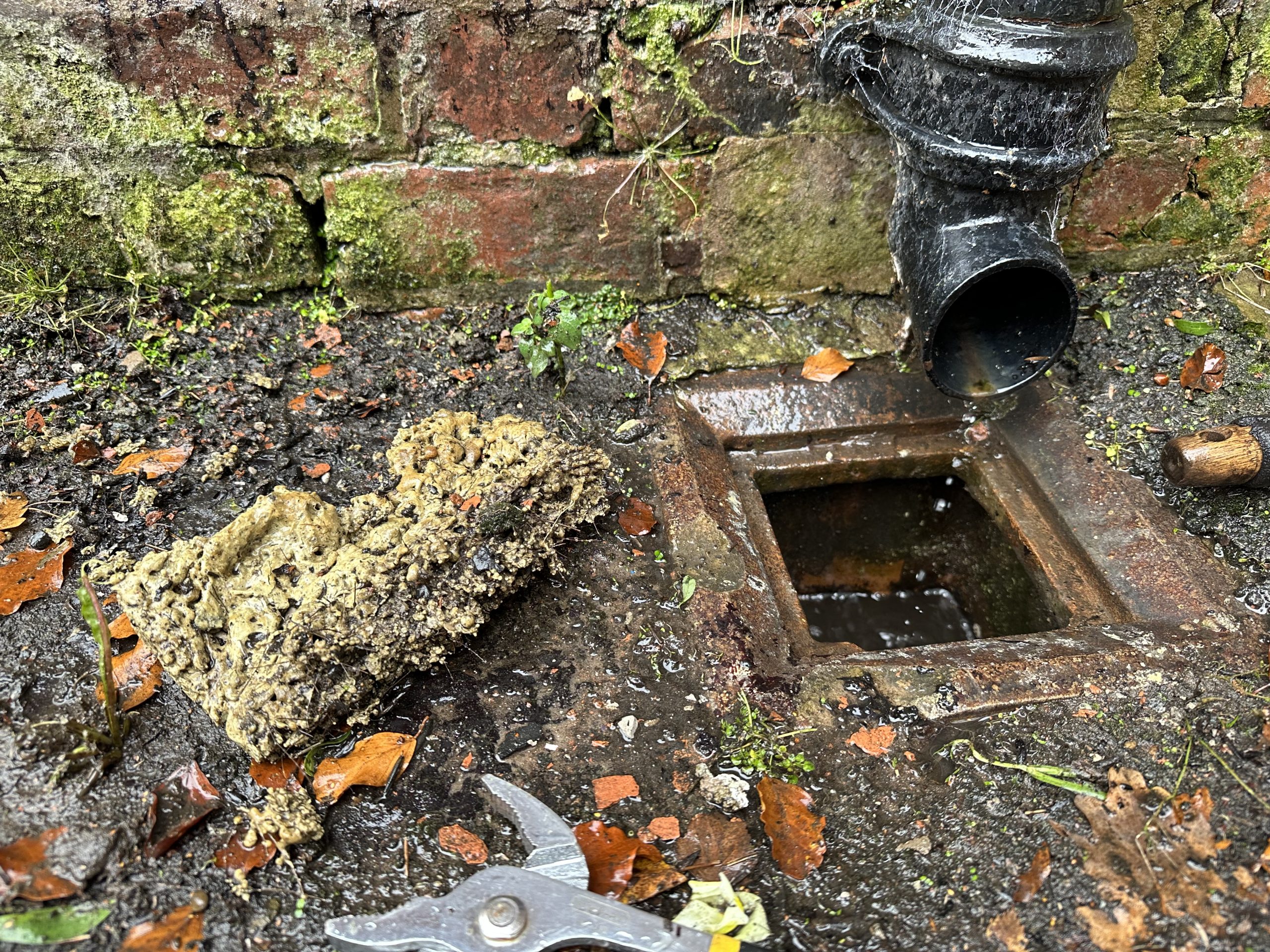 Drains, gutters and downpipes